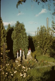 1958-Grandads-Garden-Much-Wenlock