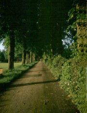 1958-Wenlock-Linden-Ave-Playing-Field