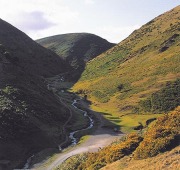 Carding-Mill-Valley